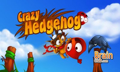 download Crazy Hedgehog apk